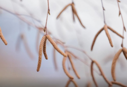 Алдағы күндері күн күрт суытады: Жаңбыр жауып, соңы қарға ұласады 