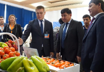 ТҮРКІСТАН: Ордабасыда «Нәтижелер жәрмеңкесі» өтті