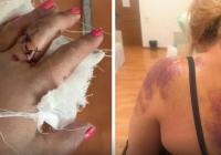 Жетісу облысында ер адам әйелді күрекпен аяусыз соққыға жықты 