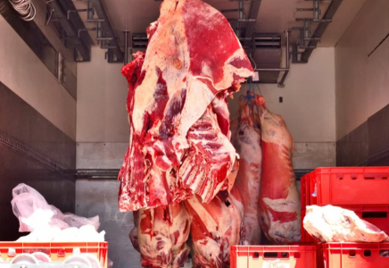 Қазақстанның Ресейден мал мен ет әкелуге не себепті шектеу енгізгені белгілі болды