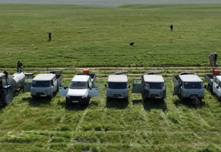 ТҮРКІСТАН: Шегірткеге қарсы күреске 2 мыңнан аса адам жұмылдырылады