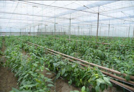 ​ТҮРКІСТАН: Ордабасы ауданында үйіргерлік жер үлесі артады 