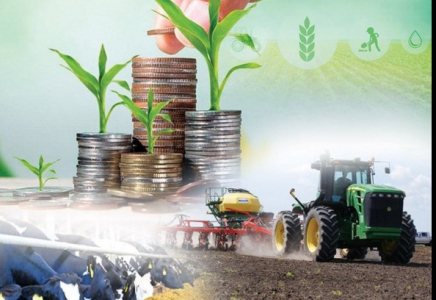 Ақтөбе облысында ауыл шаруашылығы саласын қолдауға 15 млрд теңге бөлінді