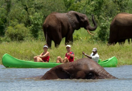 ШЕТЕЛДЕГІ ҚАУІП: қандай ережелерді естен шығармау керек