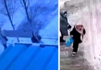 Ақтөбеде мүгедектігі бар оқушыны тонап кеткен студент жазадан құтылып кетті