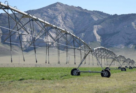 ТҮРКІСТАН: 8 айда агроөнеркәсіп кешеніне 121 млрд. теңге инвестиция тартылды