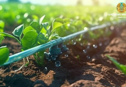 Биыл республика бойынша 1,2 млн га егіс алқабын суаруға 11 млрд текше метр су жұмсалды