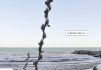Каспий теңізі акваториясының тартылған аумағы 16 мың шаршы шақырымнан асты
