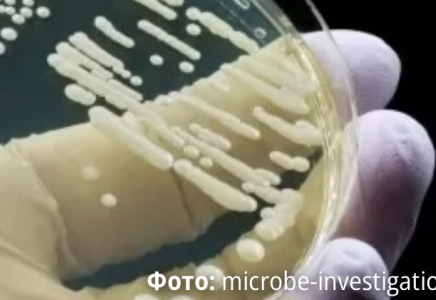 Өте жұқпалы вирус әлемге қауіп-қатер тудырып тұр