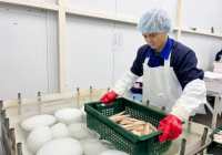 2025 жылдың 11 айында 60 мың тоннаға жуық дайын балық өнімі өндірілді