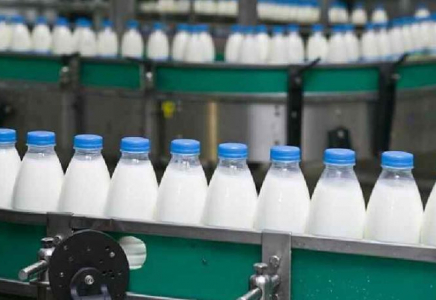 Биыл Түркістан облысында 350-ге жуық жоба іске асырылып жатыр