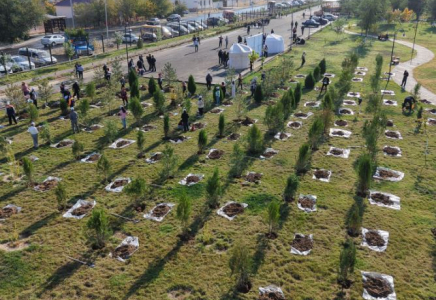 ТҮРКІСТАН: Былтыр 1 миллион түптен астам көшет отырғызылды