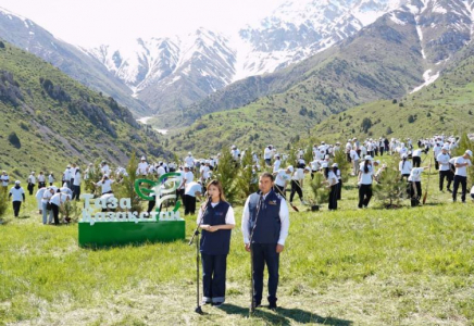 «TAZA QAZAQSTAN»: Түркістан облысында бір күнде 20 мың ағаш егілді