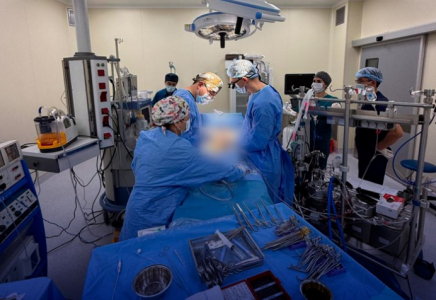 ​ШЫМКЕНТТІК ДӘРІГЕРЛЕР БЕЛАРУСЬ ӘРІПТЕСТЕРІМЕН БІРГЕ КҮРДЕЛІ ОТАЛАР ЖАСАУДА