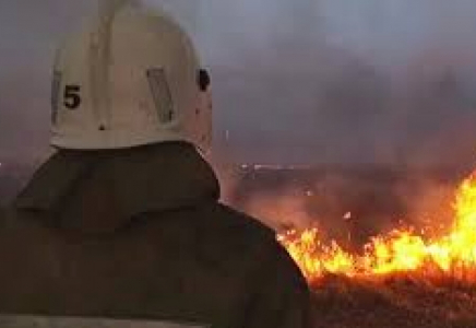 ШҚО-дағы орман және дала өрттерінің 75 пайызы найзағайдың салдарынан болған