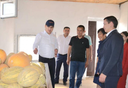 ТҮРКІСТАН: Қытайлықтар Жетісайға инвестиция салуға ниетті