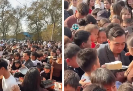 Алматыда тортқа таласқан жұрттың видеосы тарады (ВИДЕО)