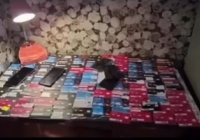 ШЫМКЕНТ: киберполицейлер шымкенттіктерге бағытталған 18000 алаяқтық қоңыраудың жолын кесті