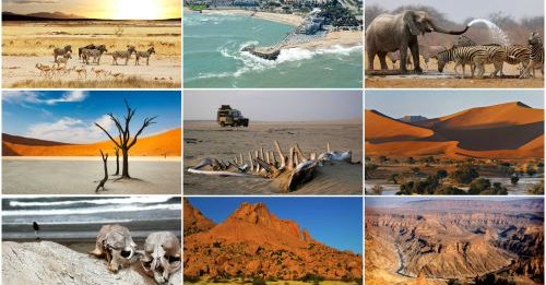 АФРИКА САПАРЫ: «Күн құрсағындағы құрлыққа» ғашық қылатын 4 ел