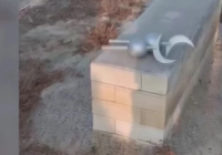 Атырауда зиратты қорлады деген күдікпен мектеп оқушылары ұсталды