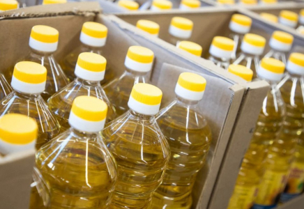 Еліміз әлемдік күнбағыс май экспортында 8-орынға шықты