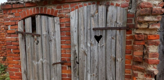 Аузына топырақ толтырып, әжетханаға тастаған: 24 жыл бұрын жасалған қылмыс ашылды