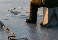 Жетісу облысында балықшы адасып кетті