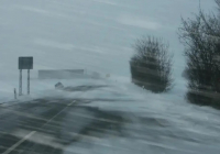 Ұлытауда аязды күні жоғалып кеткен 6 адам көлік дөңгелектерінің арқасында аман қалған