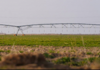 Түркістан облысында 114 мың гектар жерге су үнемдеу технологиялары енгізілді