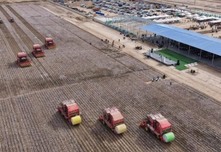 Түркістан облысы ауыл шаруашылығы саласына инвестиция тарту бойынша республикада көш бастап тұр