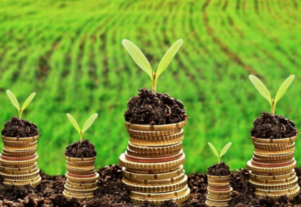 АӨК-ті жеңілдетілген несиелеу бағдарламасы тұрақты нәтижелер көрсетуде