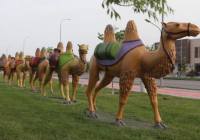 Түркістанда көркем инсталляциялар орнатылып жатыр