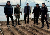 Түркістан облысы көшет өндіру мен ағаш отырғызу бойынша көш бастап тұр