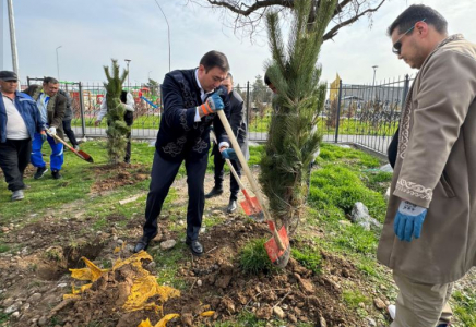 ТҮРКІСТАН: Сайрамда ағаш көшеттері отырғызылды