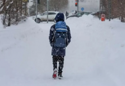 Қостанай облысында аязға байланысты 1-сынып оқушылары қашықтықтан оқиды