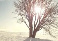 Қазақстанда күн күрт суытып, аяз -30 градусқа дейін жетеді