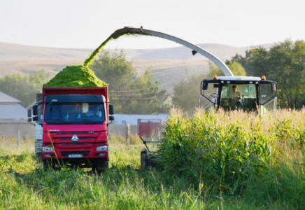 ТҮРКІСТАН: Ордабасыда 124 тұрғынның жобасы қаржыландырылды
