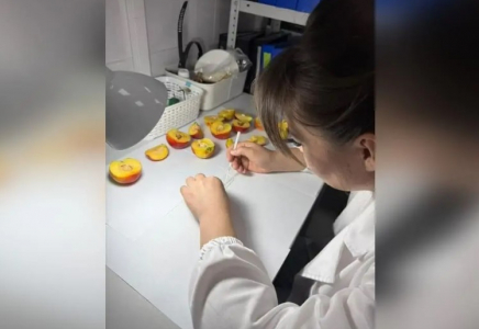 Қытайдан Қазақстан нарығына 40 тоннаға жуық қауіпті шабдалы мен сәбіз түскен