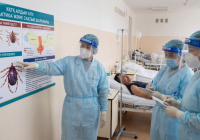 ​Қырым-Конго геморрагиялық қызбасын алдын алу: кене шағудан қалай қорғанамыз?