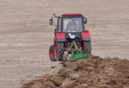 ТҮРКІСТАН: Биыл егіс көлемі 919 мың гектарға жетеді