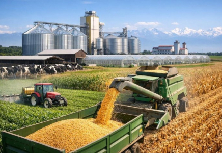 Алматы облысында 7 агроинвестициялық жоба іске асады