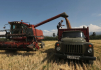 Қазақстанда 2028 жылға дейін астықты терең өңдейтін 5 ірі кәсіпорын іске қосылады