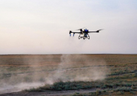 Шегірткеге қарсы күрес шараларына 100-ден астам дрон жұмылдырылады