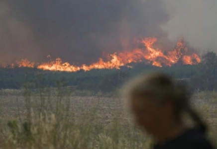 ​Орман өртіне байланысты Ресейдің 4 өңірінде төтенше жағдай жарияланды