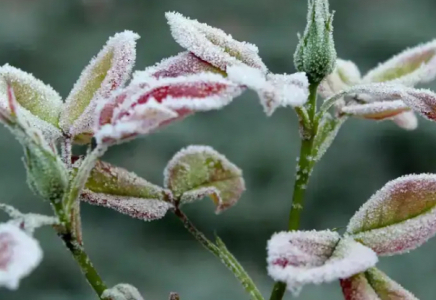 5 қазанда елдің солтүстігі мен шығысында қар жауады 5 қазанда елдің солтүстігі мен шығысында қар жауады
