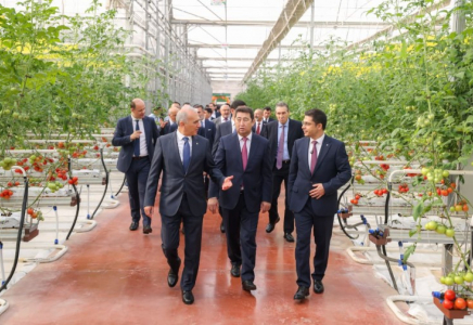 ​В ШЫМКЕНТЕ ПОЛУЧИЛИ ПЕРВЫЙ УРОЖАЙ ТОМАТОВ В ТЕПЛИЧНОМ КОМПЛЕКСЕ «ALSERA KZ» 