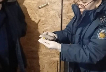 Ақмола облысының тұрғынынан 280 түйіншек мефедрон тәркіленді