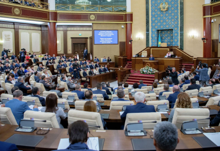 Шенеуніктерді айыптаған Қайырбекованың ректор болғаны депутаттың ашуына тиді  