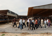 Түркістан облысындағы шағын өндірістік парк құру тәжірибесі өзге өңірлерде қолданылады