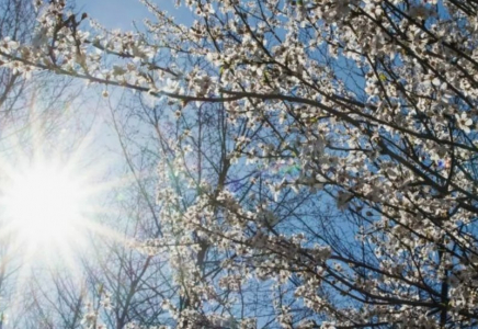 «Қазгидромет» РМК наурыз және сәуір айларына арналған синоптикалық болжам жариялады